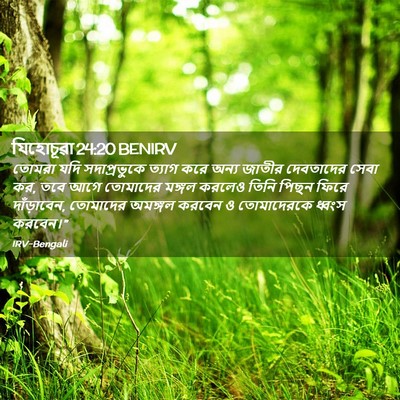 Picture 02 - যিহোচূৱা 24:20 BENIRV - তোমরা যদি - Bible Verse Picture