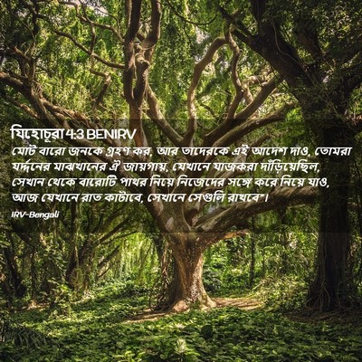 Picture 02 - যিহোচূৱা 4:3 BENIRV - মোট বারো জনকে - Bible Verse Picture
