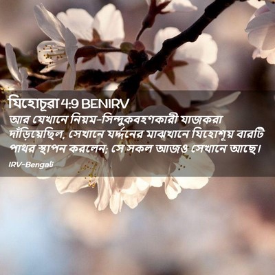 Picture 02 - যিহোচূৱা 4:9 BENIRV - আর যেখানে - Bible Verse Picture