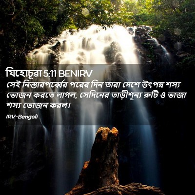 Picture 02 - যিহোচূৱা 5:11 BENIRV - সেই - Bible Verse Picture