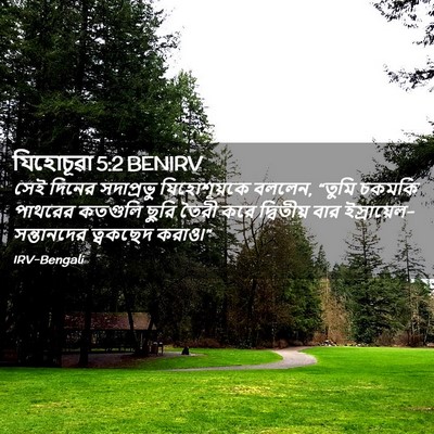 Picture 02 - যিহোচূৱা 5:2 BENIRV - সেই দিনের - Bible Verse Picture