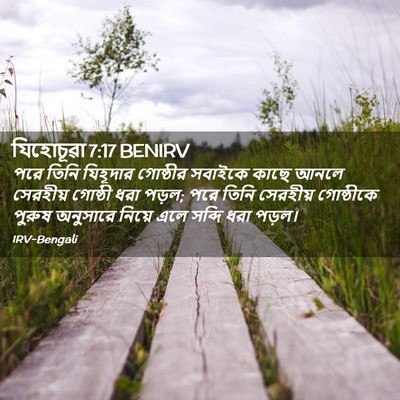 Picture 02 - যিহোচূৱা 7:17 BENIRV - পরে তিনি যিহূদার - Bible Verse Picture