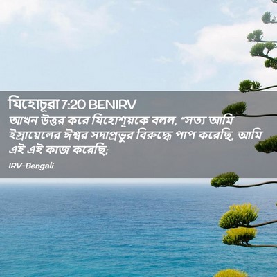Picture 02 - যিহোচূৱা 7:20 BENIRV - আখন উত্তর করে - Bible Verse Picture