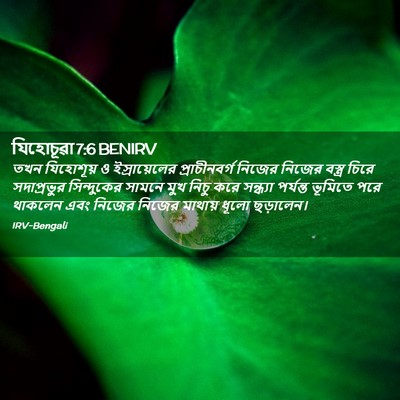 Picture 02 - যিহোচূৱা 7:6 BENIRV - তখন যিহোশূয় ও - Bible Verse Picture