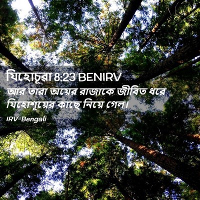 Picture 02 - যিহোচূৱা 8:23 BENIRV - আর তারা অয়ের - Bible Verse Picture