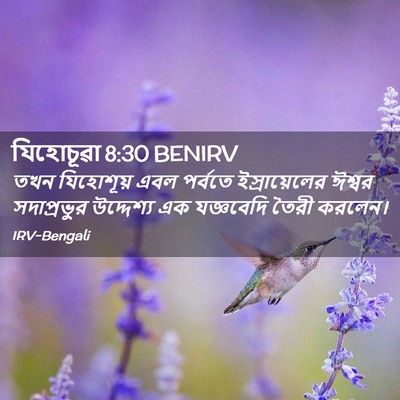 Picture 02 - যিহোচূৱা 8:30 BENIRV - তখন যিহোশূয় এবল - Bible Verse Picture