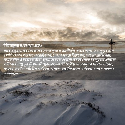 Picture 02 - যিহোচূৱা 8:33 BENIRV - আর ইস্রায়েলের - Bible Verse Picture