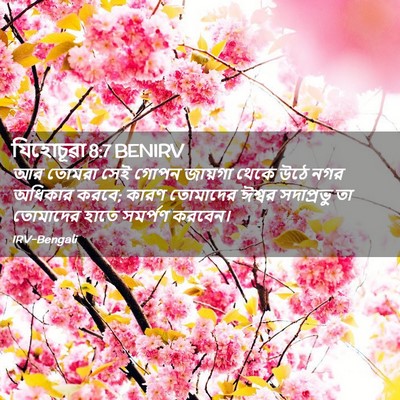 Picture 02 - যিহোচূৱা 8:7 BENIRV - আর তোমরা সেই গোপন - Bible Verse Picture