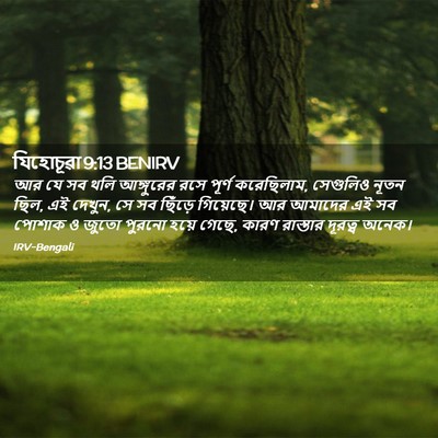 Picture 02 - যিহোচূৱা 9:13 BENIRV - আর যে সব থলি - Bible Verse Picture