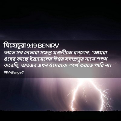 Picture 02 - যিহোচূৱা 9:19 BENIRV - তাতে সব নেতারা - Bible Verse Picture