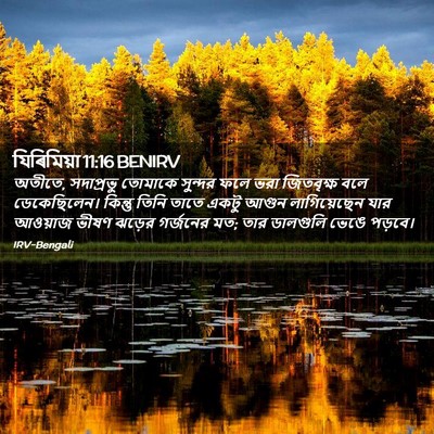 Picture 02 - যিৰিমিয়া 11:16 BENIRV - অতীতে, সদাপ্রভু - Bible Verse Picture