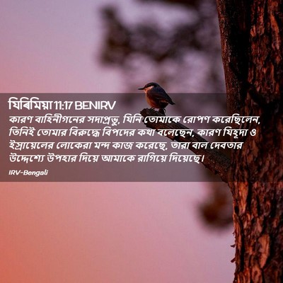 Picture 02 - যিৰিমিয়া 11:17 BENIRV - কারণ বাহিনীগনের - Bible Verse Picture