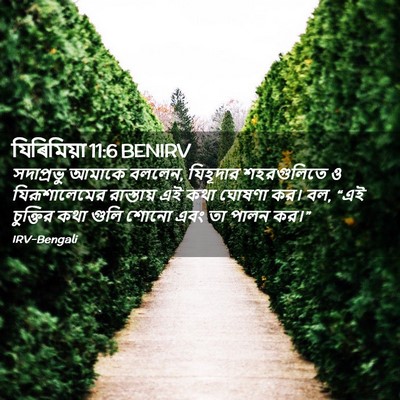 Picture 02 - যিৰিমিয়া 11:6 BENIRV - সদাপ্রভু আমাকে - Bible Verse Picture