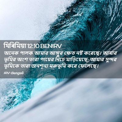 Picture 02 - যিৰিমিয়া 12:10 BENIRV - অনেক পালক আমার - Bible Verse Picture