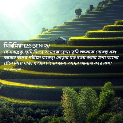Picture 02 - যিৰিমিয়া 12:3 BENIRV - হে সদাপ্রভু, তুমি - Bible Verse Picture