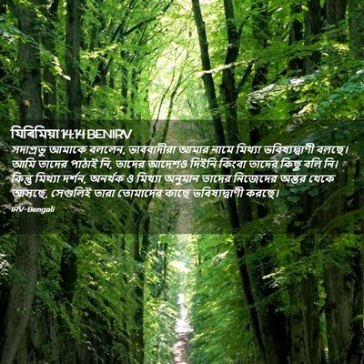 Picture 02 - যিৰিমিয়া 14:14 BENIRV - সদাপ্রভু আমাকে - Bible Verse Picture