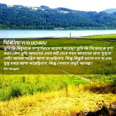Picture 02 - যিৰিমিয়া 14:19 BENIRV - তুমি কি যিহূদাকে - Bible Verse Picture