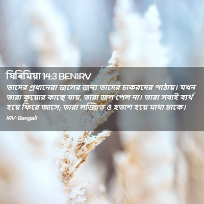 Picture 02 - যিৰিমিয়া 14:3 BENIRV - তাদের প্রধানেরা - Bible Verse Picture