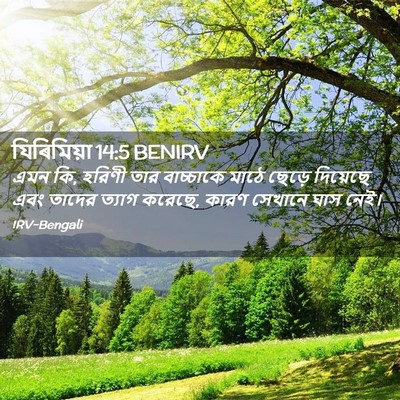 Picture 02 - যিৰিমিয়া 14:5 BENIRV - এমন কি, হরিণী তার - Bible Verse Picture