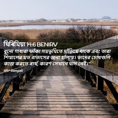 Picture 02 - যিৰিমিয়া 14:6 BENIRV - বুনো গাধারা ফাঁকা - Bible Verse Picture