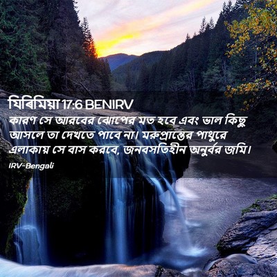 Picture 02 - যিৰিমিয়া 17:6 BENIRV - কারণ সে আরবের - Bible Verse Picture
