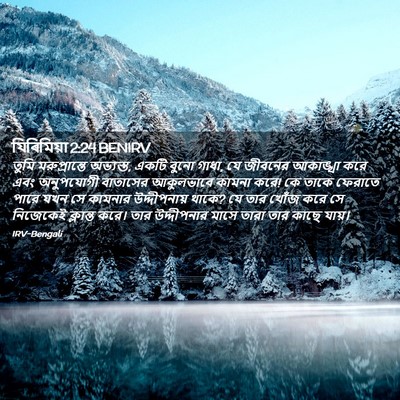 Picture 02 - যিৰিমিয়া 2:24 BENIRV - তুমি মরুপ্রান্তে - Bible Verse Picture