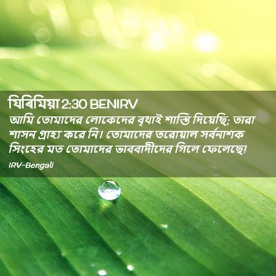 Picture 02 - যিৰিমিয়া 2:30 BENIRV - আমি তোমাদের - Bible Verse Picture