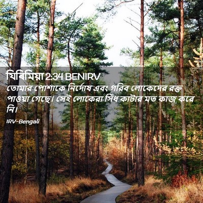 Picture 02 - যিৰিমিয়া 2:34 BENIRV - তোমার পোশাকে - Bible Verse Picture