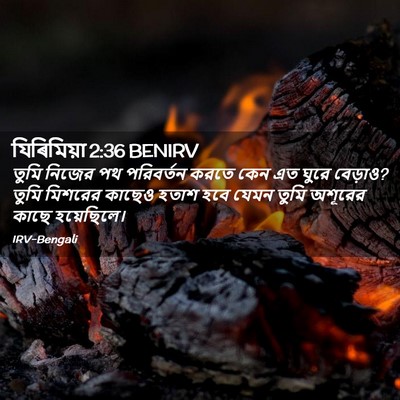 Picture 02 - যিৰিমিয়া 2:36 BENIRV - তুমি নিজের পথ - Bible Verse Picture