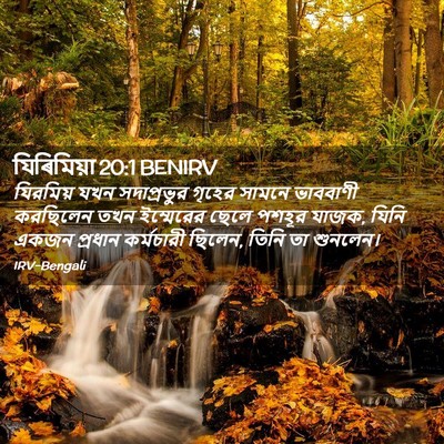 Picture 02 - যিৰিমিয়া 20:1 BENIRV - যিরমিয় যখন - Bible Verse Picture