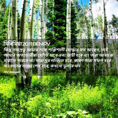 Picture 02 - যিৰিমিয়া 20:11 BENIRV - কিন্তু সদাপ্রভু - Bible Verse Picture