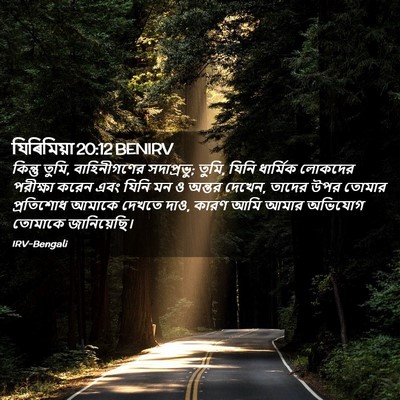 Picture 02 - যিৰিমিয়া 20:12 BENIRV - কিন্তু তুমি, - Bible Verse Picture