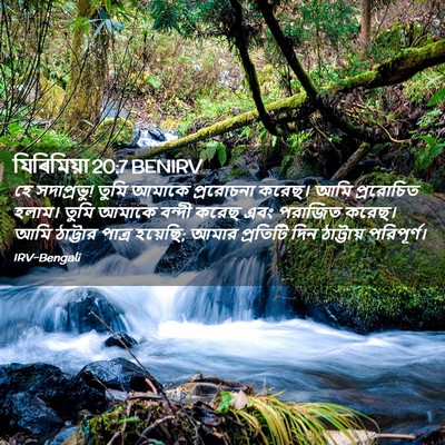 Picture 02 - যিৰিমিয়া 20:7 BENIRV - হে সদাপ্রভু! তুমি - Bible Verse Picture