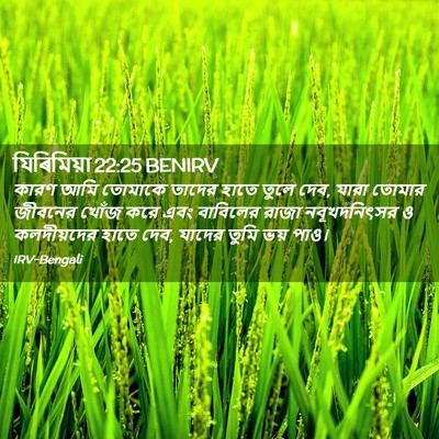 Picture 02 - যিৰিমিয়া 22:25 BENIRV - কারণ আমি তোমাকে - Bible Verse Picture