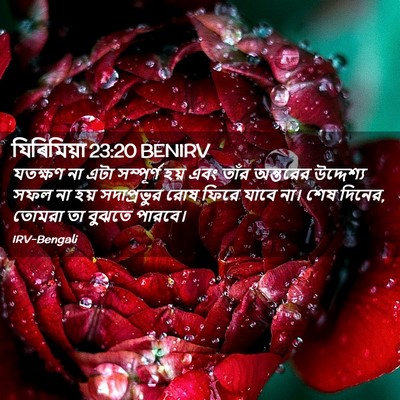 Picture 02 - যিৰিমিয়া 23:20 BENIRV - যতক্ষণ না এটা - Bible Verse Picture