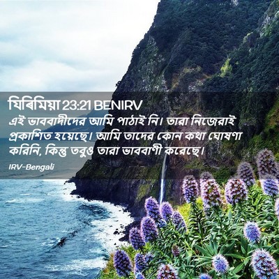 Picture 02 - যিৰিমিয়া 23:21 BENIRV - এই ভাববাদীদের আমি - Bible Verse Picture