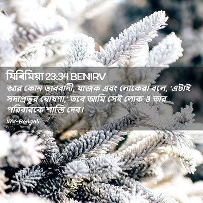 Picture 02 - যিৰিমিয়া 23:34 BENIRV - আর কোন ভাববাদী, - Bible Verse Picture