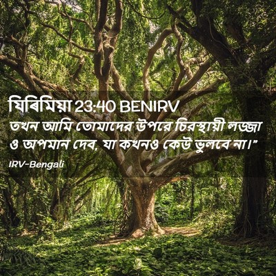Picture 02 - যিৰিমিয়া 23:40 BENIRV - তখন আমি তোমাদের - Bible Verse Picture