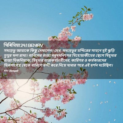 Picture 02 - যিৰিমিয়া 24:1 BENIRV - সদাপ্রভু আমাকে - Bible Verse Picture