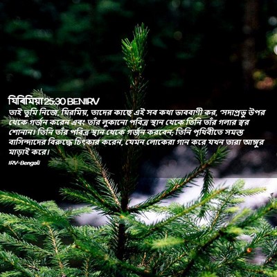 Picture 02 - যিৰিমিয়া 25:30 BENIRV - তাই তুমি নিজে, - Bible Verse Picture