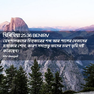 Picture 02 - যিৰিমিয়া 25:36 BENIRV - মেষপালকদের - Bible Verse Picture