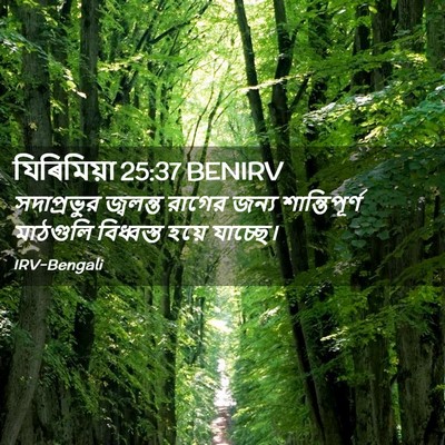 Picture 02 - যিৰিমিয়া 25:37 BENIRV - সদাপ্রভুর জ্বলন্ত - Bible Verse Picture