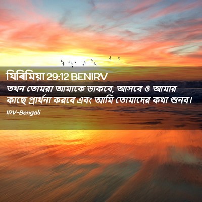 Picture 02 - যিৰিমিয়া 29:12 BENIRV - তখন তোমরা আমাকে - Bible Verse Picture