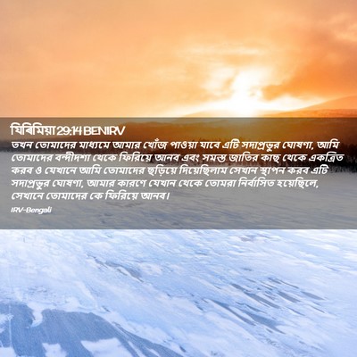 Picture 02 - যিৰিমিয়া 29:14 BENIRV - তখন তোমাদের - Bible Verse Picture