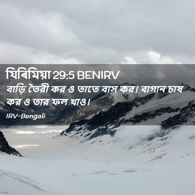 Picture 02 - যিৰিমিয়া 29:5 BENIRV - বাড়ি তৈরী কর ও - Bible Verse Picture