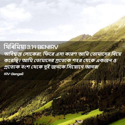 Picture 02 - যিৰিমিয়া 3:14 BENIRV - অবিশ্বস্ত লোকেরা, - Bible Verse Picture
