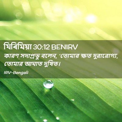 Picture 02 - যিৰিমিয়া 30:12 BENIRV - কারণ সদাপ্রভু - Bible Verse Picture