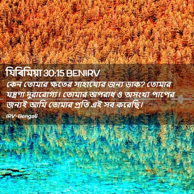 Picture 02 - যিৰিমিয়া 30:15 BENIRV - কেন তোমার ক্ষতের - Bible Verse Picture