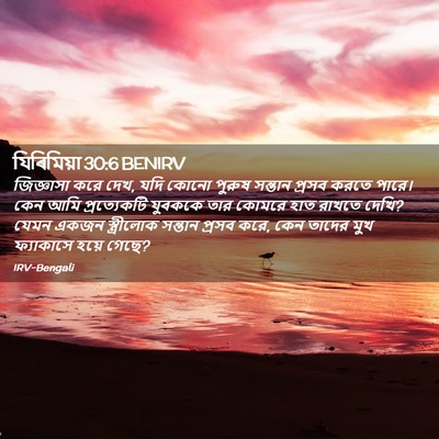 Picture 02 - যিৰিমিয়া 30:6 BENIRV - জিজ্ঞাসা করে দেখ, - Bible Verse Picture