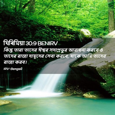 Picture 02 - যিৰিমিয়া 30:9 BENIRV - কিন্তু তারা তাদের - Bible Verse Picture